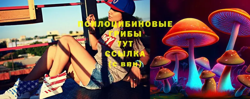 Галлюциногенные грибы Magic Shrooms  купить закладку  omg как войти  Зеленодольск 